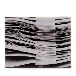 Phenomenology eBook by Palgrave Macmillan with Enhanced Typesetting-0