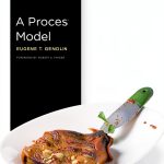 Phenomenology Kindle Book Northwestern University Press ISBN-0