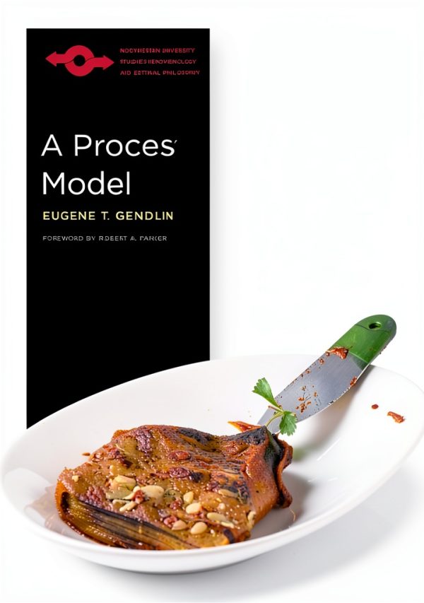Phenomenology Kindle Book Northwestern University Press ISBN-0
